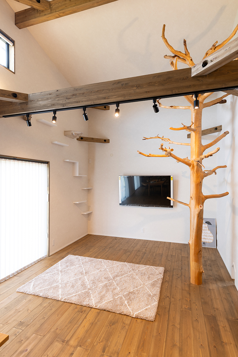 ネコちゃんと暮らす半平屋2