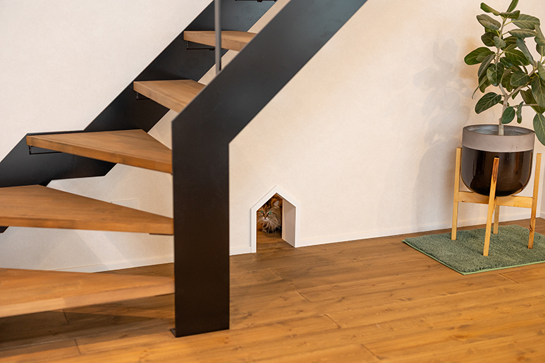 ネコちゃんと暮らす半平屋4